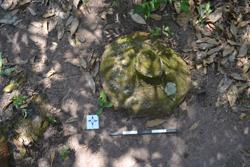 Disc 52030048 Thumbnail