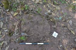 Disc 52030053 Thumbnail