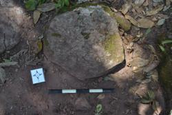 Disc 52030054 Thumbnail