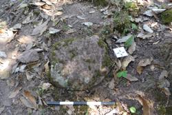 Disc 52030056 Thumbnail