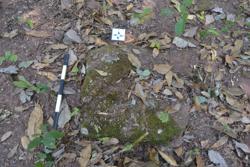 Disc 52030061 Thumbnail