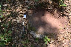 Disc 52030062 Thumbnail