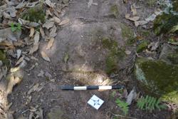 Disc 52030063 Thumbnail