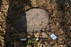 Disc 52030066 Thumbnail