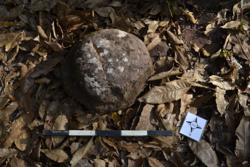 Disc 52030067 Thumbnail