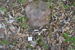 Disc 52030068 Thumbnail