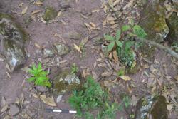 Disc 52030069 Thumbnail