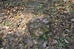Disc 52040002 Thumbnail