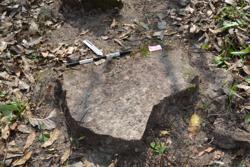 Disc 52040009 Thumbnail