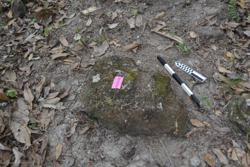 Disc 52040010 Thumbnail
