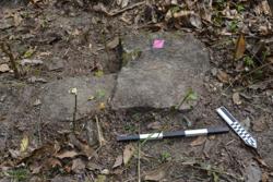 Disc 52040012 Thumbnail