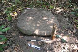 Disc 52040015 Thumbnail