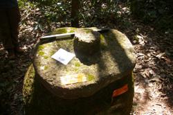 Disc 52050001 Thumbnail