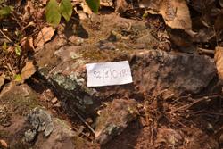 Jar 52010049 Thumbnail