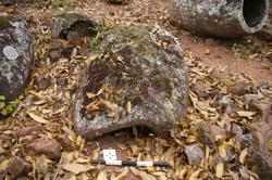 Jar 52010077 Thumbnail