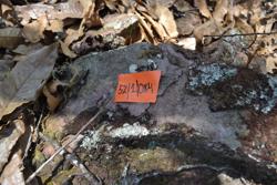 Jar 52010084 Thumbnail
