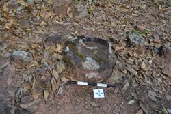 Jar 52010094 Thumbnail