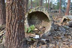 Jar 52010095 Thumbnail