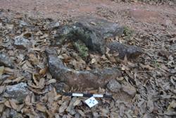 Jar 52010098 Thumbnail