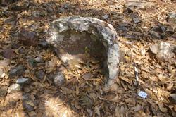 Jar 52010100 Thumbnail