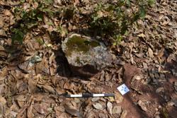 Jar 52010107 Thumbnail