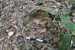 Jar 52010109 Thumbnail