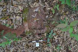 Jar 52010110 Thumbnail
