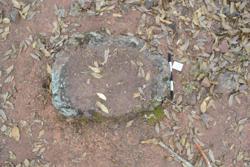 Jar 52010111 Thumbnail