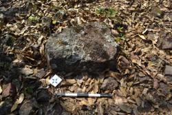 Jar 52010112 Thumbnail