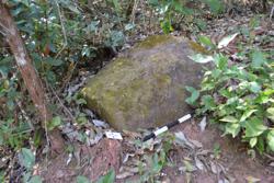 Jar 52010113 Thumbnail
