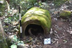 Jar 52020011 Thumbnail