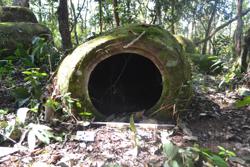 Jar 52020012 Thumbnail