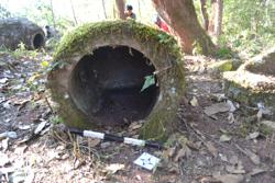 Jar 52020021 Thumbnail
