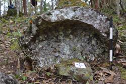 Jar 52020026 Thumbnail