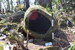 Jar 52020030 Thumbnail
