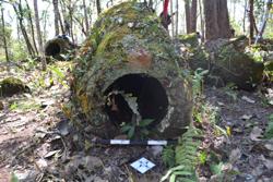Jar 52020033 Thumbnail