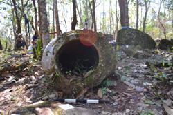Jar 52020037 Thumbnail