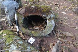 Jar 52020043 Thumbnail