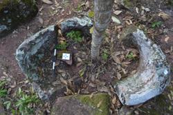 Jar 52020044 Thumbnail