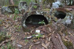 Jar 52020045 Thumbnail