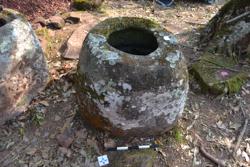 Jar 52020050 Thumbnail
