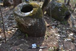 Jar 52020054 Thumbnail