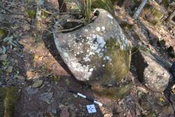 Jar 52020056 Thumbnail