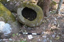 Jar 52020057 Thumbnail