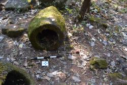 Jar 52020059 Thumbnail
