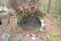 Jar 52030003 Thumbnail