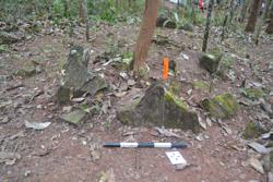 Jar 52030011 Thumbnail
