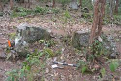 Jar 52030012 Thumbnail