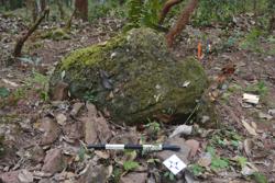 Jar 52030013 Thumbnail