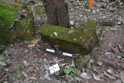 Jar 52030024 Thumbnail